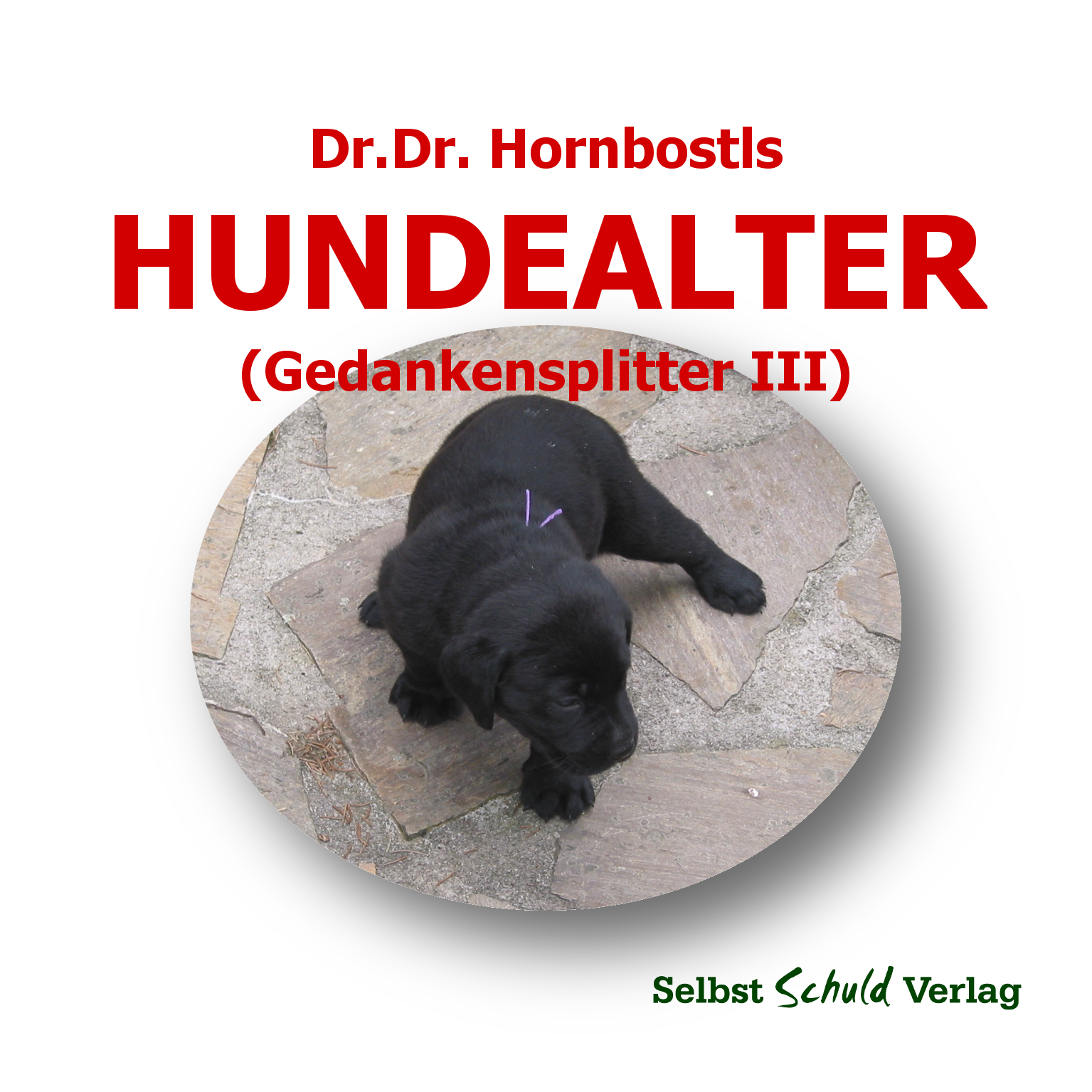 Dr. Dr. Hornbostls Gedankensplitter